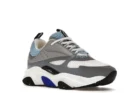 Dior B22 Grey Blue