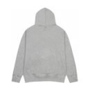 Am1 Hoodies Grey
