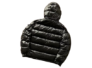Moncler Down Jacket