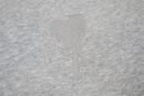 Am1 Hoodies Light Grey