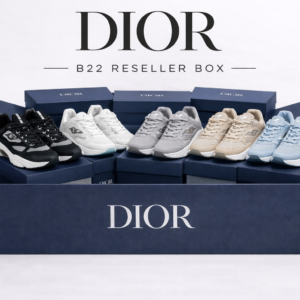 24x Dior B22 Reseller Box