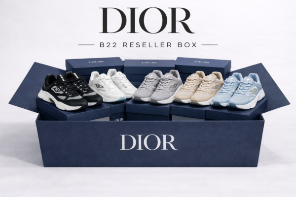 24x Dior B22 Reseller Box