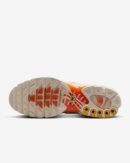 TN Nike Air Max Plus
