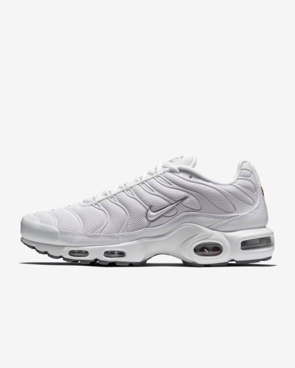 TN Nike Air Max Plus