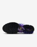 TN Nike Air Max Plus