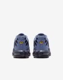 TN Nike Air Max Plus