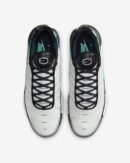 TN Nike Air Max Plus